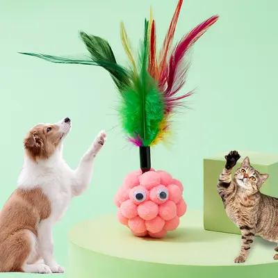猫玩具逗猫棒发声铃铛羽毛剑麻球老鼠猫咪套装用品宠物猫幼猫小猫 - 4