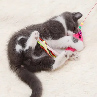 Two-Color Feather Wire Cat Teaser Wand, High Durability - 5