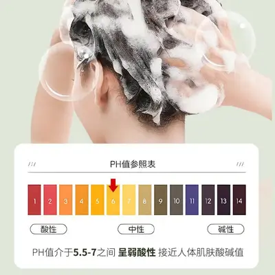 Qin Er Camellia Shampoo, amino acid formula, oil control foam