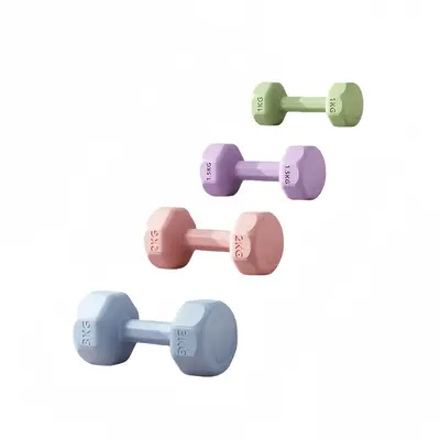Dumbbell Kadın Fitness Ekipmanı Ev Kullanımı Kauçuk Kaplı Erkek Çocuk Kol Kas Egzersiz Kettlebell Yoga Mini Dumbbell Seti Kombinasyon