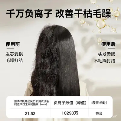 Negative Ion Hair Dryer, High Power, Quiet, Constant Temperature