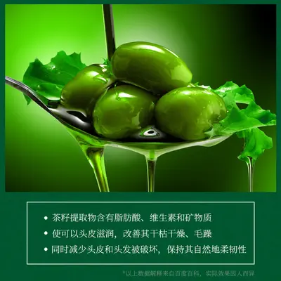 Xingxiangmei Ginger Moisturizing Shampoo with Polygonum Multiflorum and Camellia Seed - 4