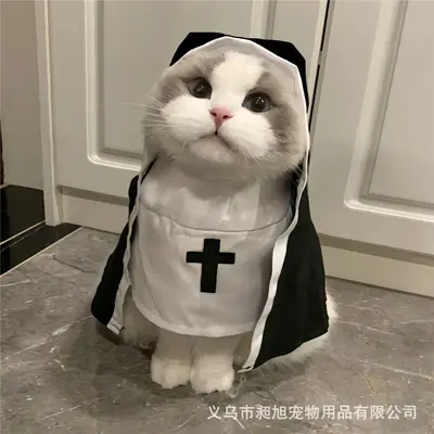 Cross-border Dog Nun Costume, Halloween Pet Dress-Up for Cats and Dogs, Funny COS Pet Photo Props, Cat Funny Clothes