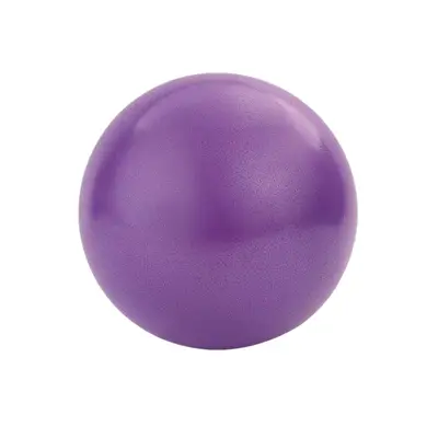 25cm Pilates Ball PVC Mini Yoga Ball, Explosion-Proof, Glute Training