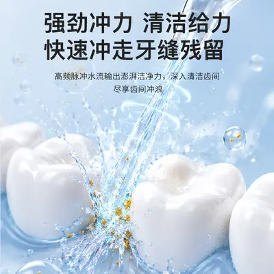 Electric oral irrigator, portable teeth cleaner