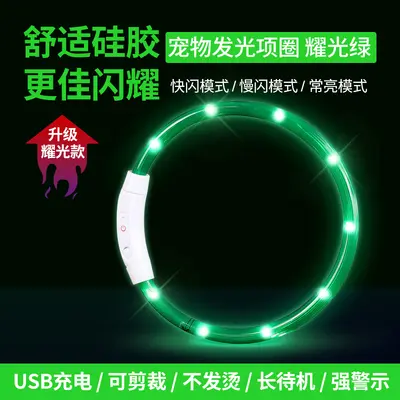Rechargeable Light-Up Collar for Dogs and Cats - 10