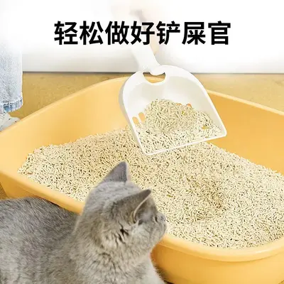 10 Jin (5 kg) Tofu Cat Litter, Deodorizing, Low Dust