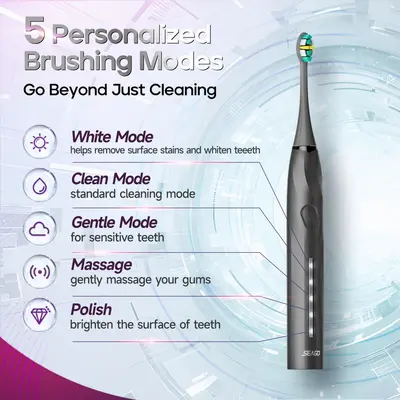 Seago electric toothbrush, 8 brush heads, portable case