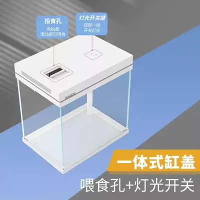 HEJ Mini-Aquarium aus extra klarem Glas mit Sauerstoffanreicherung, Tischaquarium