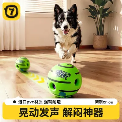 Battery-Free Squeaky Dog Ball, Chew-Resistant, Interactive - 1