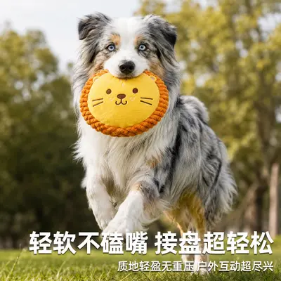 Hundespielzeug Frisbee-Form Plüsch mit Quietscher - 5