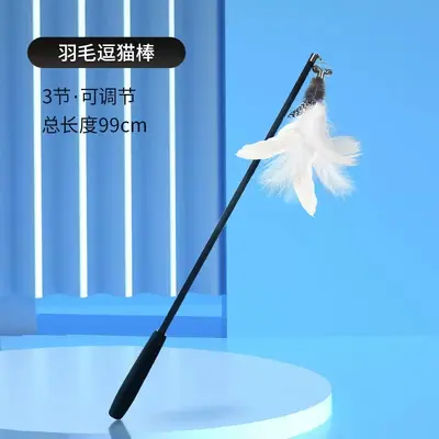 Retractable Cat Teaser Wand with Feather Replacement Heads and Bell, for Kittens - 7