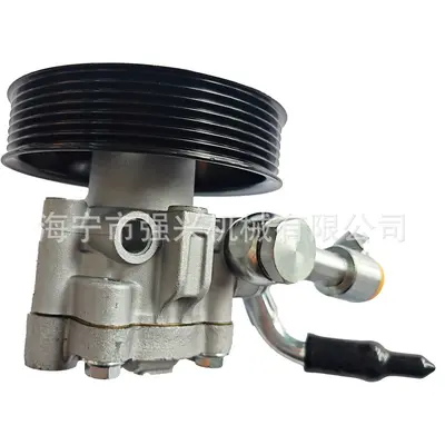 Servolenkpumpe A0054662201, 0024661201, 0024662501, 0024667601, 21-5021