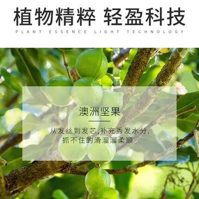 Qianzi Essence Durulanmayan Saç Bakım Yağı, Kabarık ve Yıpranmış Saçlar İçin - 4