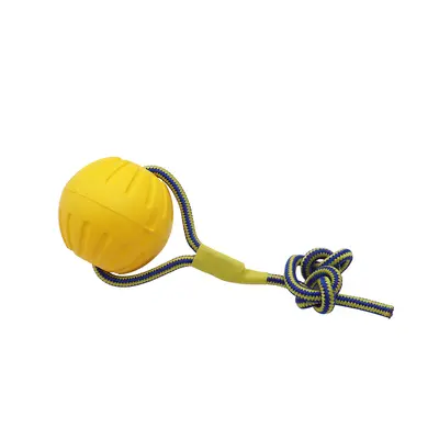 EVA Bite-Resistant Dog Chew Toy with Pull Ring - 9