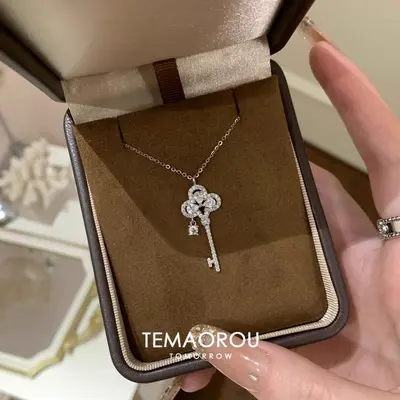 Taç anahtarlı gümüş kolye, titanyum çelik - 1