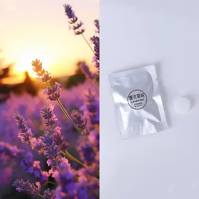 Sınır ötesi hava çıkış aromaterapi klipsi araba klipsi katı koku tableti araba aksesuarları tablet dolum koku çekirdeği uçucu yağ kart yuvası - 9