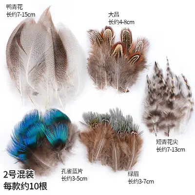 Natural Color Chicken Feather Cat Teaser Wand, 50 Pieces - 11