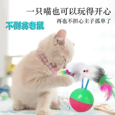 Cat Toy Wire Cage with Colorful Feather Mouse, Weighted Roly-Poly
