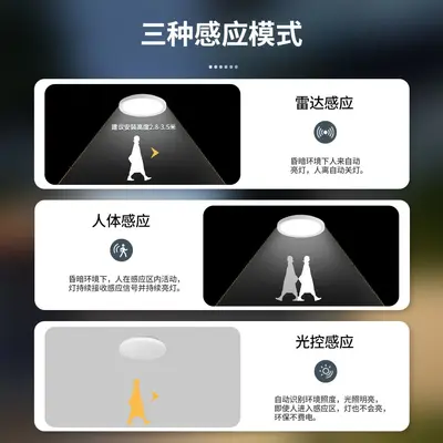 Leishi Modern LED Ceiling Light with Motion Sensor for Corridor