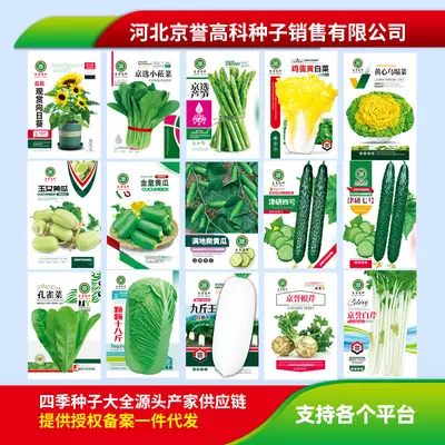 Four-Season Vegetable Seeds Set, Including Radish and Beans, 200+ Varieties - 5