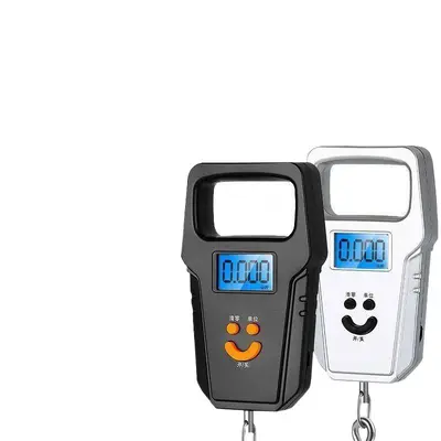 Electronic scale high-precision, portable