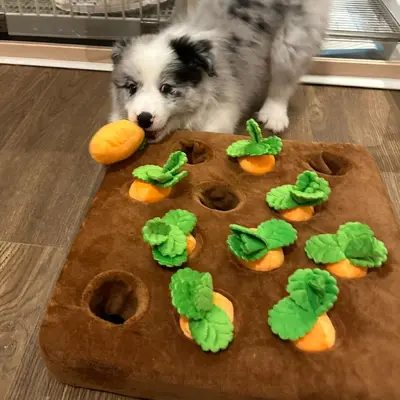 Köpek Oyuncağı Dayanıklı Havuç Çekme Zenginleştirme
