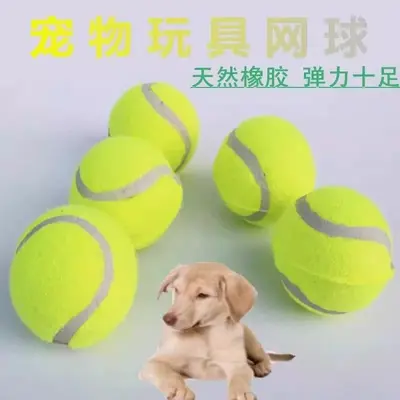 狗狗玩具球自嗨解闷神器宠物边牧金毛柯基耐咬球训练磨牙网球橡胶 - 5