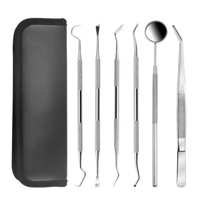 Dental care kit, stainless steel, 6-piece - 6