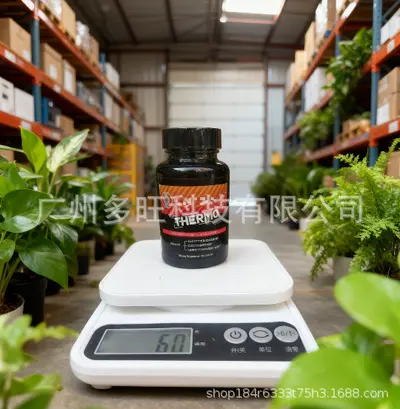 Probiotic Capsules, Creatine Gummies, Protein Powder and Multivitamin, Minimum Order One P - 8