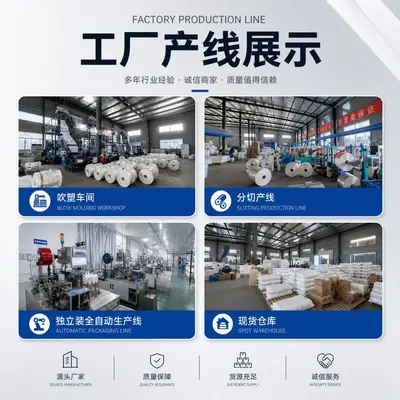 Food-Grade Disposable PE Gloves, Individually Packed, Thickened, Transparent