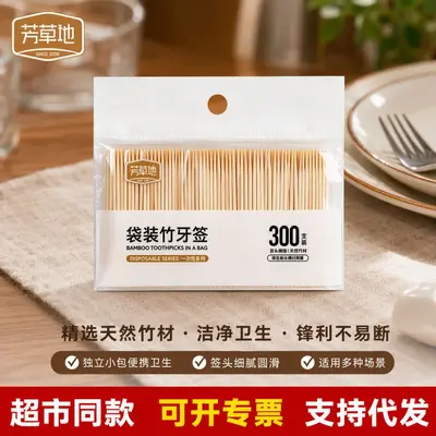 Bamboo toothpicks, ultra-thin, family pack, double-ended