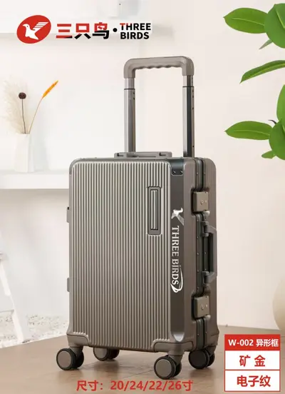 Durable 24-Inch Large-Capacity Trolley Suitcase - 12