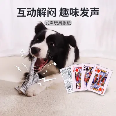 Köpek oyuncağı, sesli gazete kağıdı, küçük ve orta ırk yavru köpekler için - 5