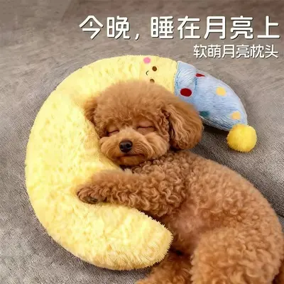 Moon-Shaped Cat and Dog Sleeping Pillow with Blue Hat, Companion Pillow