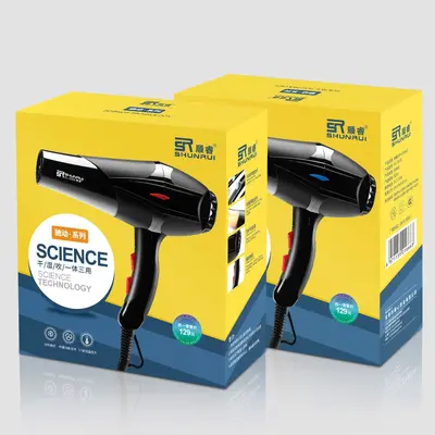 Professional Household Hair Dryer, 2000 W, Hot and Cold Air