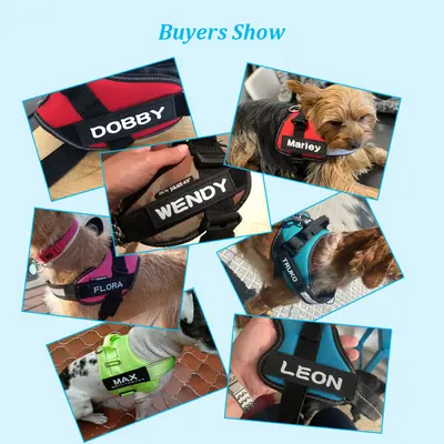Personalised K9 Dog Collar with Velcro Name Tag