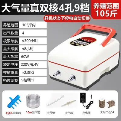 Rechargeable Outdoor Oxygen Pump, Lithium Battery, AC/DC - 4