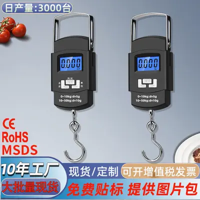 Portable fishing scale 50kg electronic hook scale
