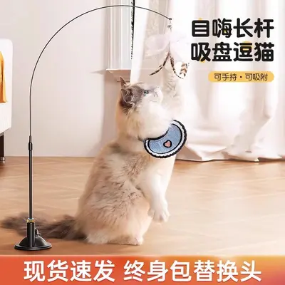 Suction Base Cat Teaser Wand with Steel Wire and Replacement Feather Head - 4
