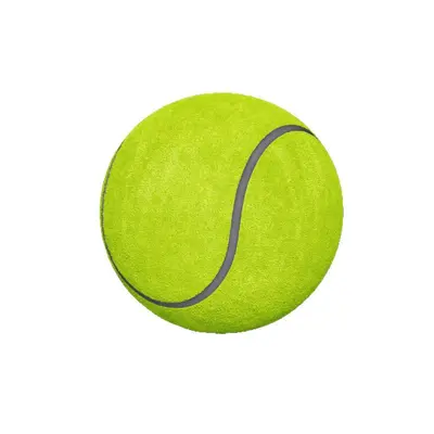 Dog Ball Toy, Chew-Resistant Rubber Ball for Training - 6