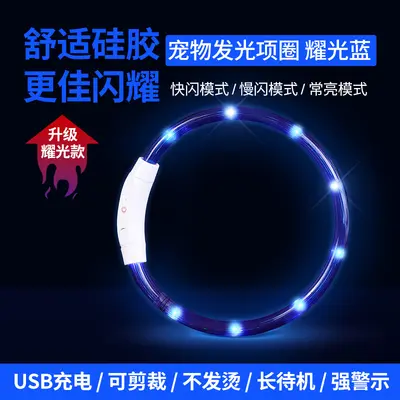 Rechargeable Light-Up Collar for Dogs and Cats - 9
