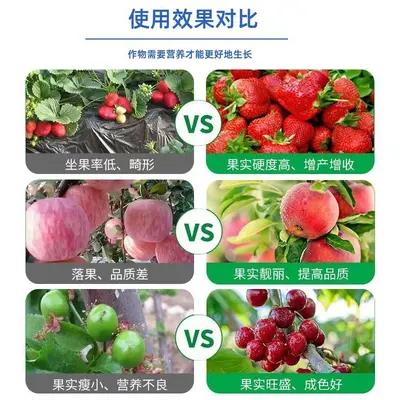 Slow-Release Granular Boron Fertilizer with Calcium and Magnesium, Water-Soluble