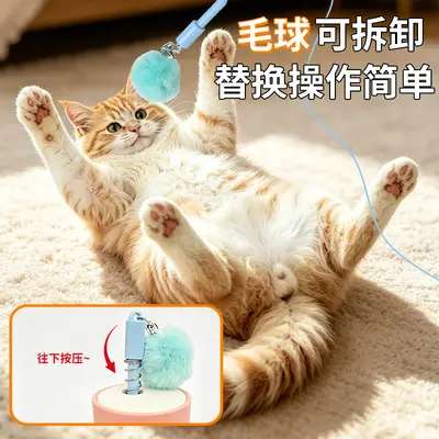 Elektrische Katzenangel mit Ein-Knopf-Start - 4
