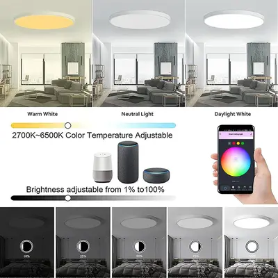 Tuya WiFi Smart Ceiling Light, RGBCW, Dimmable, Alexa and Google Compatible