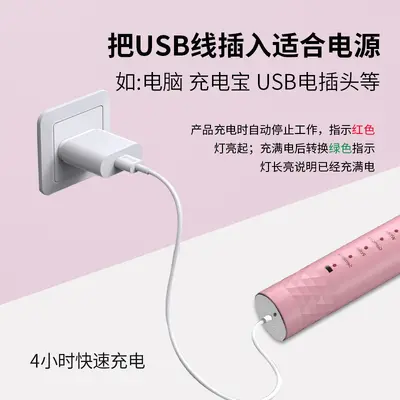 Tragbare USB-Schall-Zahnbürste, 5 Stufen - 3