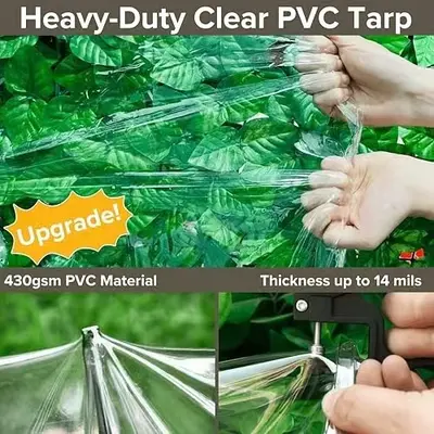 Transparent PE Tarpaulin, Waterproof, Tear-Resistant, Dustproof