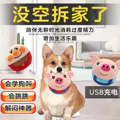 Köpek Oyuncağı Zıplayan Top Çok Dayanıklı Sesli Diş Temizleyici Çiğneme Oyuncağı