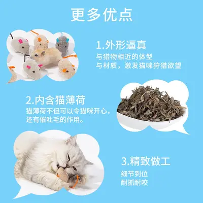 Catnip Plush Mouse Cat Toy with Molar Cleaning and Teaser Wand