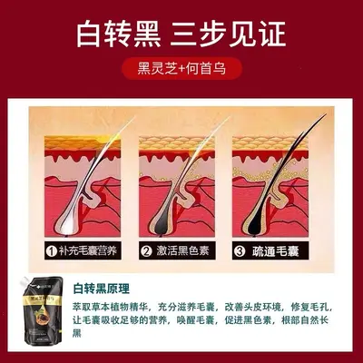 Polygonum Multiflorum Shampoo Black Reishi Oil Control Plant Care